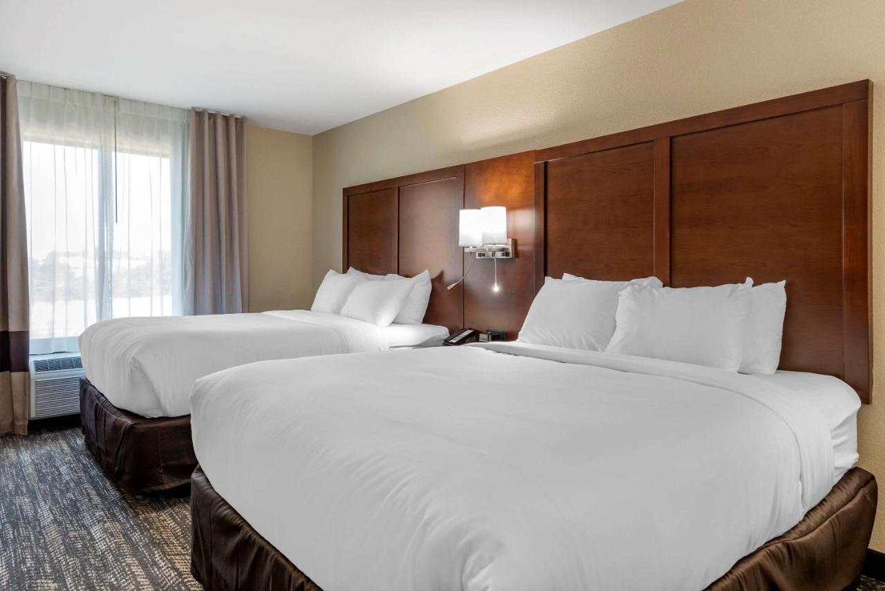 Comfort Suites Dry Ridge Buitenkant foto